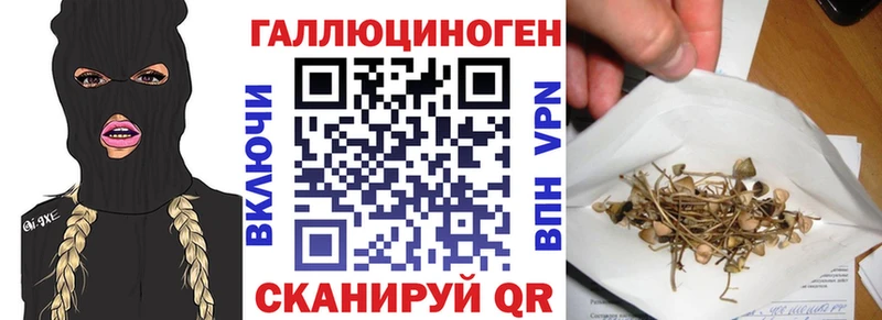Галлюциногенные грибы GOLDEN TEACHER  кракен tor  Ясногорск  купить наркотики сайты 